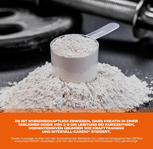 Kreatin |Creatin 100 % monohydrat Scitec Nutrition 300 Gramm 88 Serving